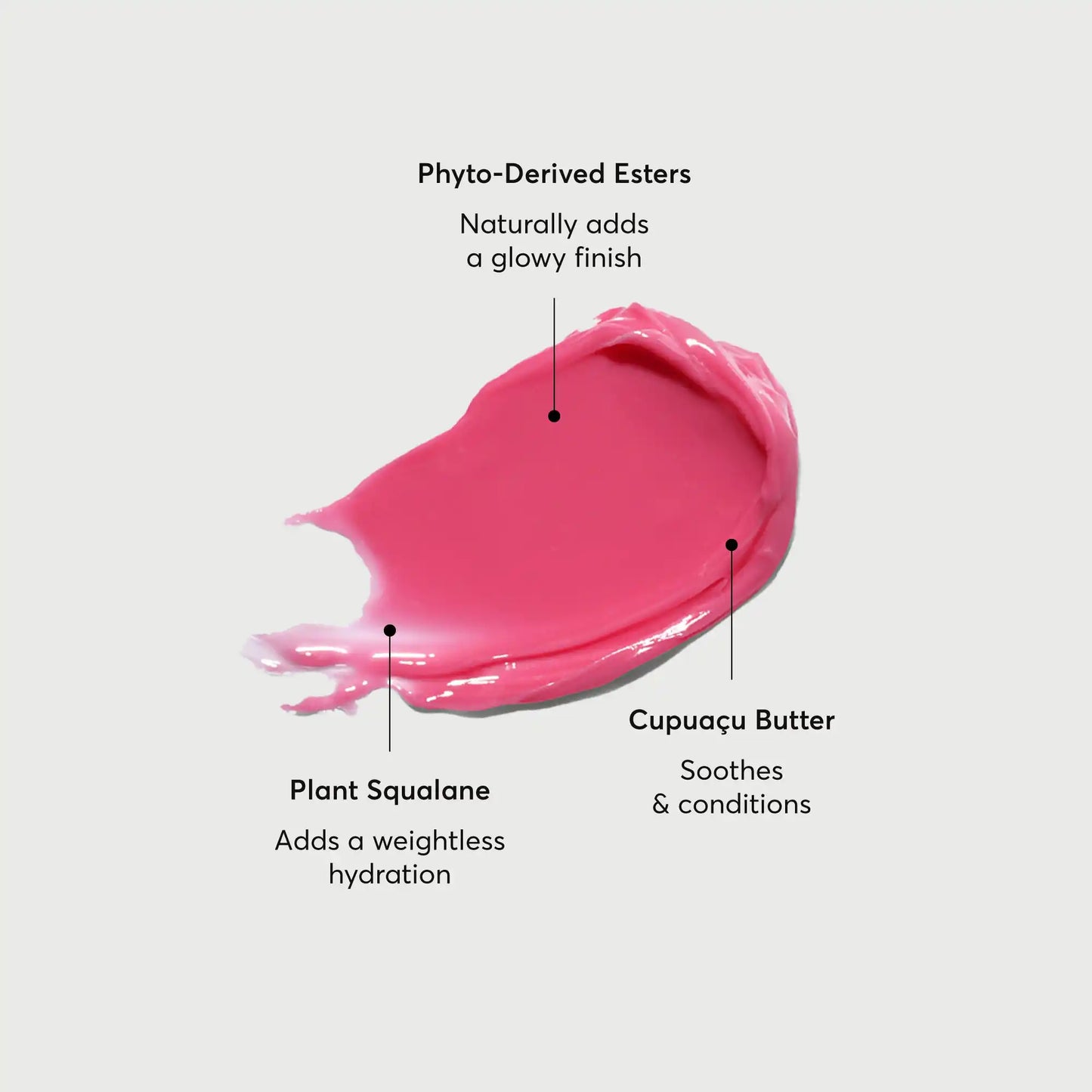 phyto-glow-lip-balm-camellia-q7 NATR-60075-Alt-Images-Phyto-Glow-Lip-Balm-Camellia-01.webp